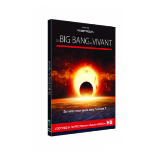 DU BIG BANG AU VIVANT - DVD